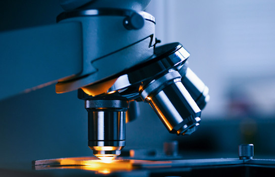Analytical (QA/QC)